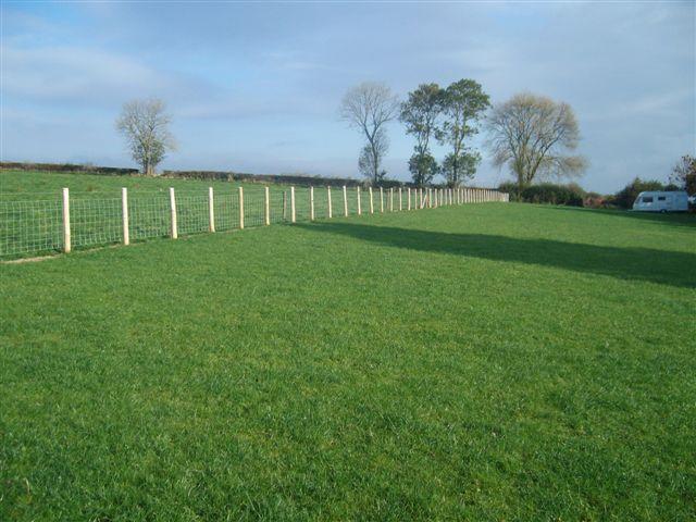 The gently sloping campsite